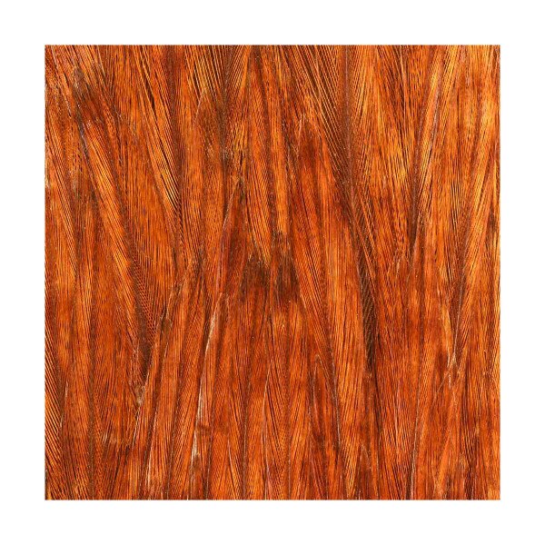 IMPORTED DRY FLY NECKS, Fly Tying Jann's Netcraft